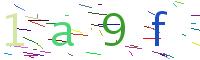 Verify Code