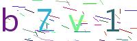 Verify Code