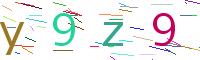 Verify Code
