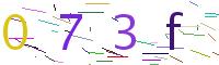 Verify Code