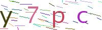 Verify Code