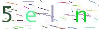Verify Code