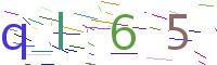 Verify Code