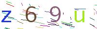 Verify Code