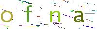 Verify Code