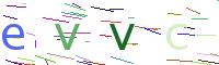 Verify Code
