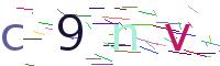Verify Code