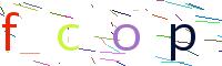 Verify Code