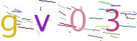 Verify Code