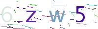 Verify Code