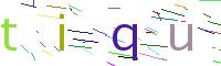 Verify Code