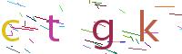 Verify Code