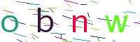 Verify Code