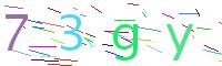 Verify Code