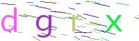 Verify Code