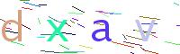 Verify Code