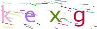 Verify Code