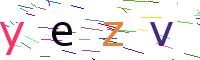 Verify Code