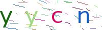 Verify Code