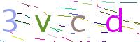 Verify Code