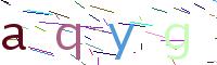 Verify Code