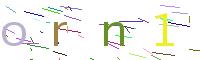 Verify Code
