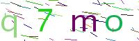Verify Code
