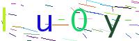 Verify Code