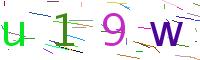 Verify Code